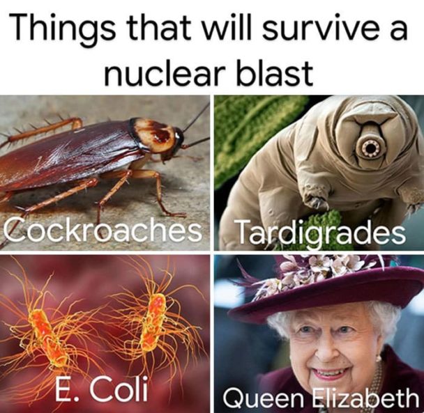 Queen Elizabeth Is Getting The Meme Treatment Because She's "Immortal