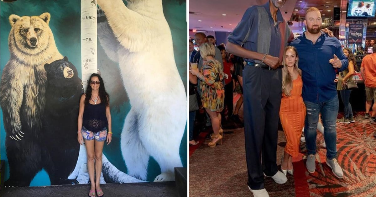 human-for-scale-so-you-can-see-just-how-giant-some-things-are