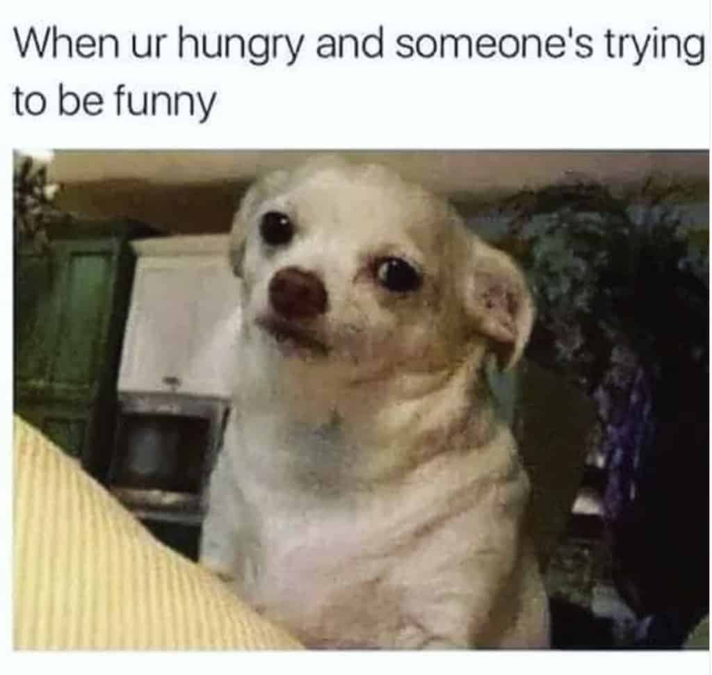 Hangry Memes For Anyone Who Lashes Out When They're Hungry