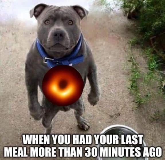 black hole in stomach hungry hangry meme, hunger black hole hangry meme, hangry meme, hangry memes, funny hangry meme, funny hangry memes, hungry meme, hungry memes, funny hungry meme, funny hungry memes, hangry joke, hangry jokes, funny hangry joke, funny hangry jokes, being hungry meme, being hungry meme, angry hungry meme, angry hungry memes, hunger anger meme, hunger memes, being hungry jokes, angry food meme, hungry joke, hungry jokes, hunger meme, funny hunger meme, funny hunger memes, hangry funny, hunger anger meme, hunger anger memes
