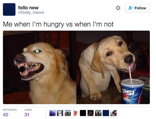 me hungry versus when i am not hangry meme, hangry meme, hangry memes, funny hangry meme, funny hangry memes, hungry meme, hungry memes, funny hungry meme, funny hungry memes, hangry joke, hangry jokes, funny hangry joke, funny hangry jokes, being hungry meme, being hungry meme, angry hungry meme, angry hungry memes, hunger anger meme, hunger memes, being hungry jokes, angry food meme, hungry joke, hungry jokes, hunger meme, funny hunger meme, funny hunger memes, hangry funny, hunger anger meme, hunger anger memes