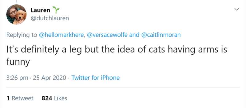 cats, debate, twitter