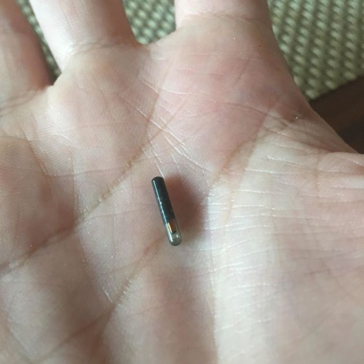 microchip what is this thing, what is this thing, what is this thing reddit, r/whatisthisthing, whatisthisthing