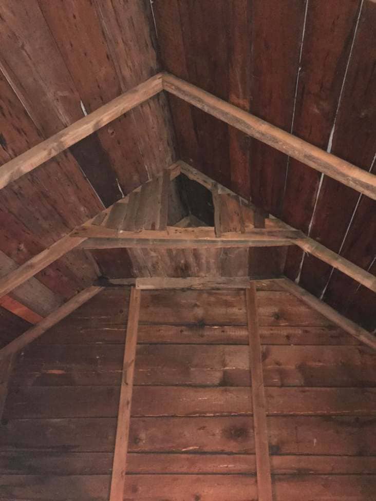 possible barn owl roost what is this thing, what is this thing, what is this thing reddit, r/whatisthisthing, whatisthisthing