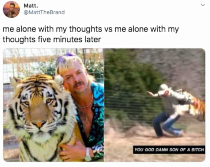 tiger king memes, you son of a bitch tiger king meme