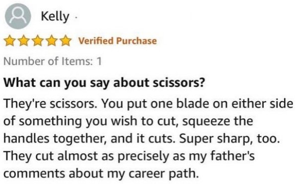 funny comments, replies, comments, crazy people, amazon, reviews