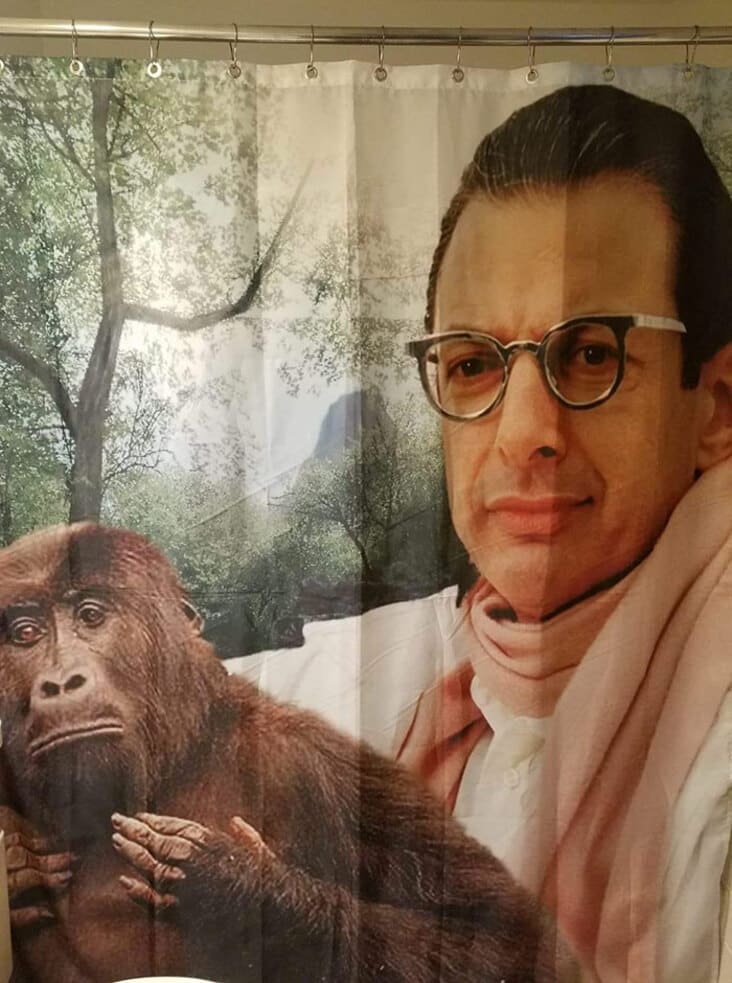 jeff goldblum shower curtain, thrift shopping finds, secondhand finds, thrift store finds, funny thrift store finds, funny secondhand finds, funny second hand find, funny second hand finds, weird second hand find, funny thrift shop find, funny thrift finds, funny thrift find, strange thrift finds, weird thrift store find, strange thrift store find, weird thrift store finds, thrift store finds, weird secondhand finds, weird secondhand finds that just need to be shared