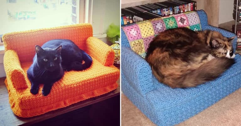 Folks Are Using Their Downtime To Crochet Small Sofas For Their Cats (16 Pics)