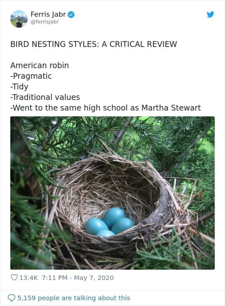 funny bird nest reviews, bird nest reviews, reviews of bird nests, review of bird nest, reviews of birds nests twitter, bird nest reviews twitter, bird nest review twitter, @Ferrisjabr, @Ferrisjabr twitter