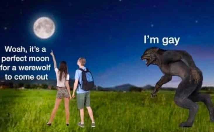 werewolf comes out of closet, werewolf comes out of closet meme, stupid werewolf meme