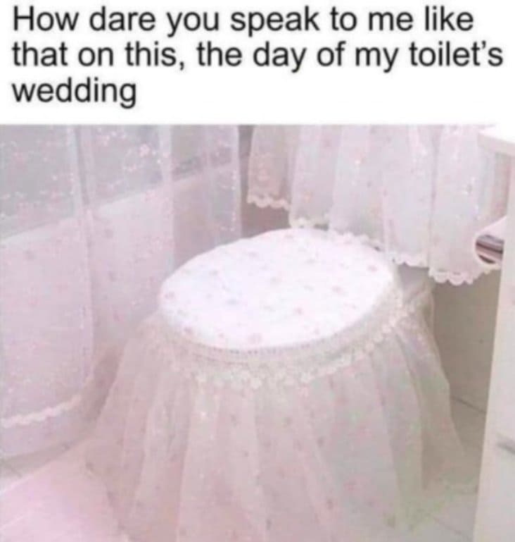 toilet wedding gown, toilet wearing wedding dress, stupid meme, stupid funny meme, funny stupid meme, stupid memes, stupid funny memes, stupid joke meme, really stupid memes, stupid meme pictures, memes so stupid they re funny, stupid memes that are funny, very stupid memes, crazy stupid memes, funny but stupid memes, hilarious stupid memes, random stupid memes, stupid internet memes, stupid meme jokes, stupid memes images, funny stupid picture, stupid funny picture