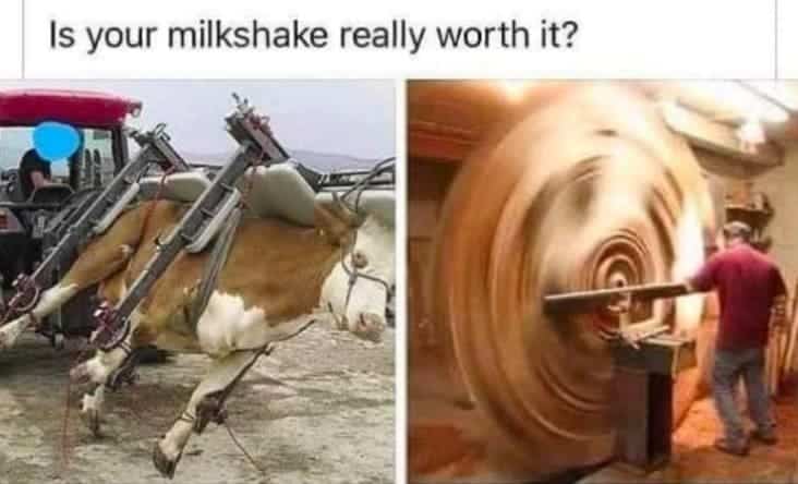 funny cow milkshake meme, cow milkshake meme, stupid cow milkshake meme, stupid meme, stupid funny meme, funny stupid meme, stupid memes, stupid funny memes, stupid joke meme, really stupid memes, stupid meme pictures, memes so stupid they re funny, stupid memes that are funny, very stupid memes, crazy stupid memes, funny but stupid memes, hilarious stupid memes, random stupid memes, stupid internet memes, stupid meme jokes, stupid memes images, funny stupid picture, stupid funny picture