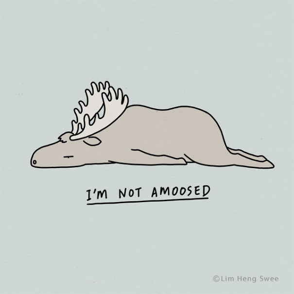 animal pun - i'm not amooosed