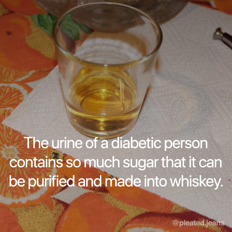 diabetic urine can be made into whiskey