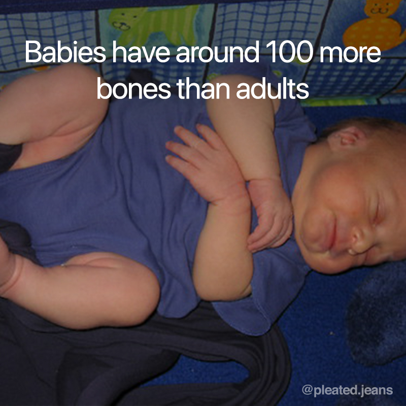babies have about 100 more bones than adults, babies have more bones, babies have more bones science fact, cool science fact, random science fact, fun science fact, science fact, awesome science fact, random science facts, science facts, fun science facts, interesting science facts, fun facts about science, fun science facts, weird science facts, interesting facts about science, cool science facts, crazy science facts, neat science facts, amazing facts about science, strange science facts, odd science facts, true facts about science, random fun facts about science, unique science facts, unusual science facts, weird fun facts about science, obscure science facts, weird but true facts about science, amazing facts science pictures, amazing facts about science images, fabulous facts about science, some interesting facts about science, weird interesting facts about science, interesting amazing facts about science