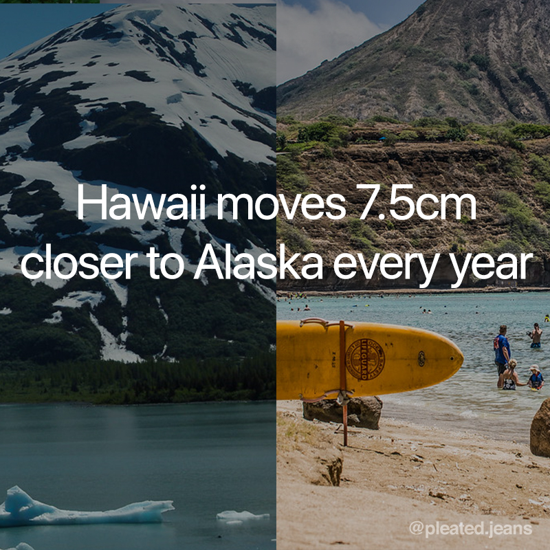 hawaii move 7.5 cm closer to alaska every year, cool science fact, random science fact, fun science fact, science fact, awesome science fact, random science facts, science facts, fun science facts, interesting science facts, fun facts about science, fun science facts, weird science facts, interesting facts about science, cool science facts, crazy science facts, neat science facts, amazing facts about science, strange science facts, odd science facts, true facts about science, random fun facts about science, unique science facts, unusual science facts, weird fun facts about science, obscure science facts, weird but true facts about science, amazing facts science pictures, amazing facts about science images, fabulous facts about science, some interesting facts about science, weird interesting facts about science, interesting amazing facts about science