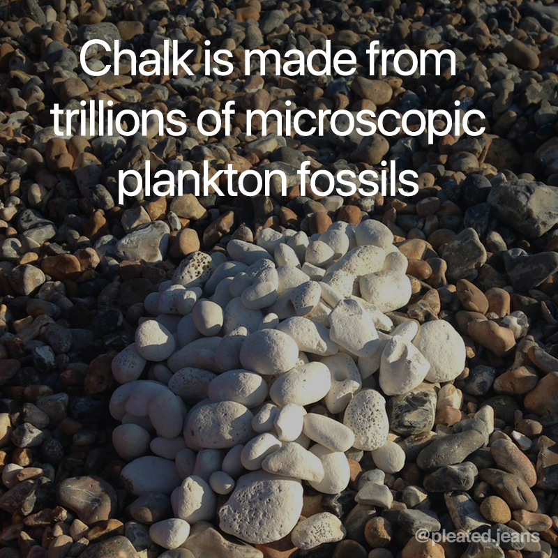chalk is made from plankton fossils