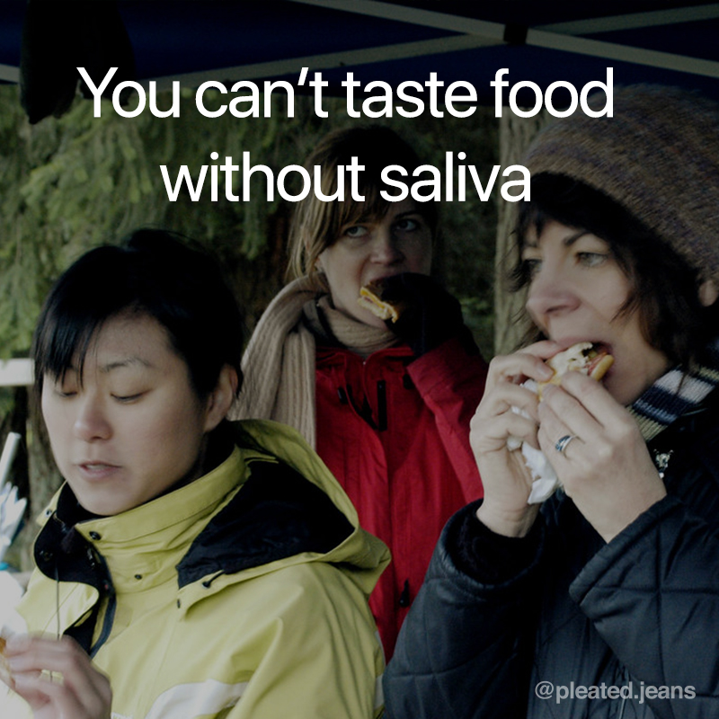 you can't taste food without saliva, cool science fact, random science fact, fun science fact, science fact, awesome science fact, random science facts, science facts, fun science facts, interesting science facts, fun facts about science, fun science facts, weird science facts, interesting facts about science, cool science facts, crazy science facts, neat science facts, amazing facts about science, strange science facts, odd science facts, true facts about science, random fun facts about science, unique science facts, unusual science facts, weird fun facts about science, obscure science facts, weird but true facts about science, amazing facts science pictures, amazing facts about science images, fabulous facts about science, some interesting facts about science, weird interesting facts about science, interesting amazing facts about science
