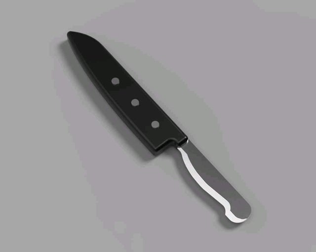 knife blade looks like handle