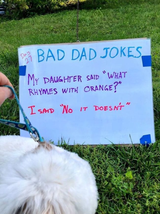 Dad Puts A New Bad Joke On His Lawn Everyday (30 Dad Jokes)