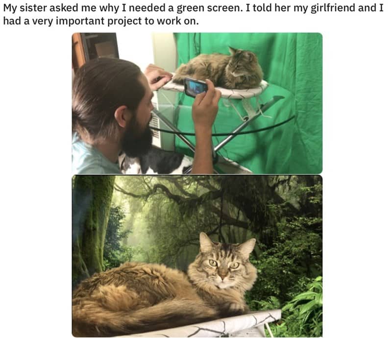 wholesome animal memes, cute wholesome animal meme, wholesome meme animals, wholesome memes animal, wholesome memes animals, wholesome animals, wholesome animal pics, wholesome animal pictures, feel good animal meme, good animal memes, cute animal memes, cute funny animal memes, cute animal memes clean, animal memes cute, cute and funny animal memes, hilarious cute animal memes, cute funny animals memes, funny and cute animal memes, animal meme cute, animals cute memes, animals memes cute, best cute animal memes, clean cute animal memes, clean cute funny animal memes, cute and funny animals memes, cute and funny memes with animals, cute animal memes images, cute animal picture meme, cute animal picture memes, cute animal pictures meme, cute animal pictures memes, cute animals clean memes, cute animals hilarious memes, cute animals meme, cute animals mems, cute animal pic, cute animal pictures, cute animal images, wholesome animal images