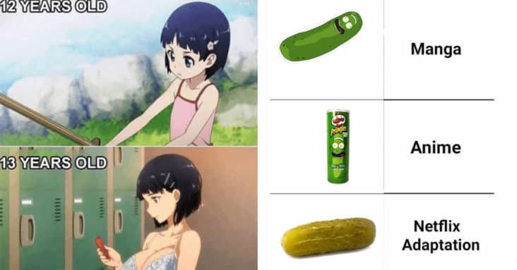 Twenty-Two Anime Memes For Weebs And Casual Fans Alike - Memebase