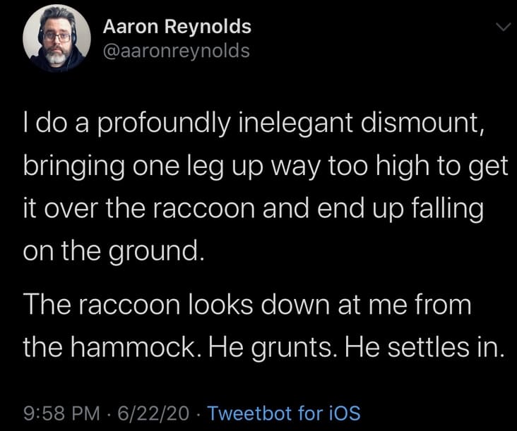 @aaronreynolds raccoon, @aaronreynolds hammock, @aaronreynolds funny story, @aaronreynolds raccoon story, funny raccoon story, funny raccoon hammock story, inviting a raccoon into hammock, raccoon hammock story, raccoon in hammock, inviting raccoon into hammock, raccoon gets into hammock with person, raccoon gets into hammock, funny human raccoon interaction, funny human raccoon interaction story, @aaronreynolds, @aaronreynolds twitter, raccoon in hammock story, raccoon gets in hammock, raccoon gets in hammock story
