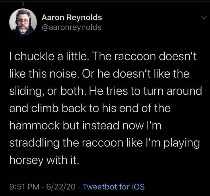 @aaronreynolds raccoon, @aaronreynolds hammock, @aaronreynolds funny story, @aaronreynolds raccoon story, funny raccoon story, funny raccoon hammock story, inviting a raccoon into hammock, raccoon hammock story, raccoon in hammock, inviting raccoon into hammock, raccoon gets into hammock with person, raccoon gets into hammock, funny human raccoon interaction, funny human raccoon interaction story, @aaronreynolds, @aaronreynolds twitter, raccoon in hammock story, raccoon gets in hammock, raccoon gets in hammock story