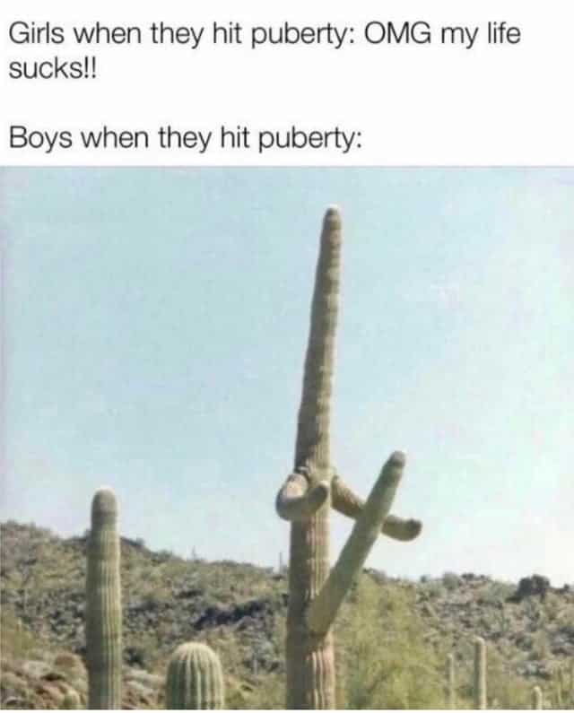 cactus looks like it has massive erection, cactus appears to have massive erection