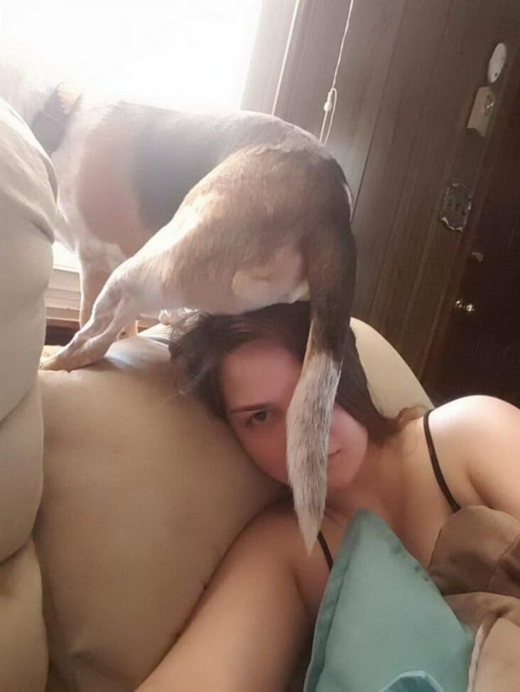 dog sitting on girls head