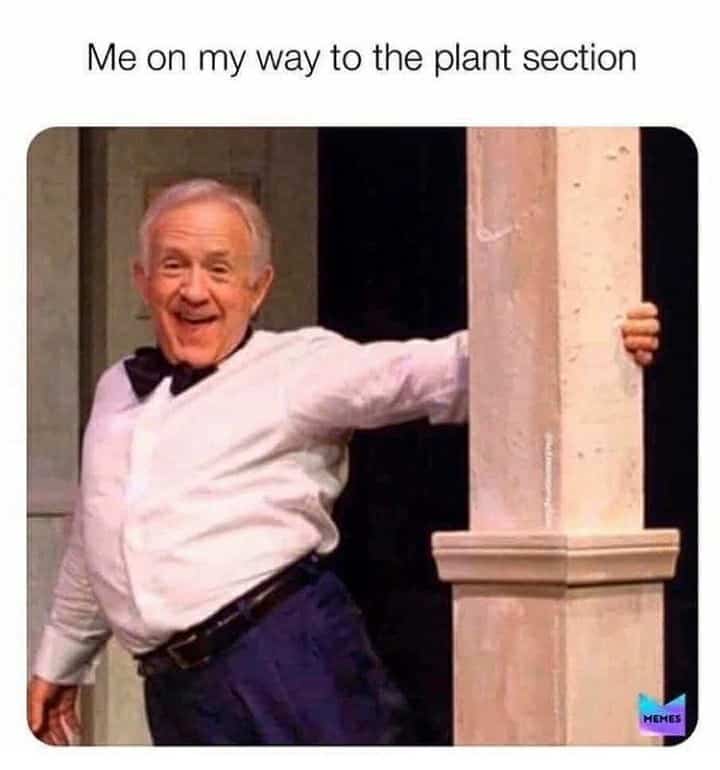 plant lovers, plant meme, plant memes, funny plant memes, funny plant meme, plant lover, plant lover memes, plant lover meme, plant lover memes funny, plant lovers meme, plant lovers memes, plant lover funny, plant lovers funny