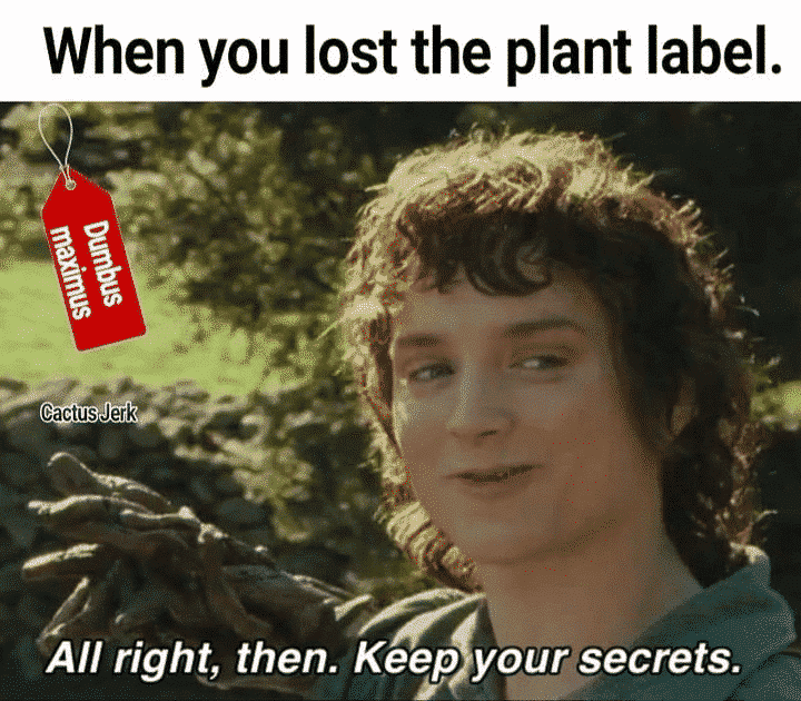 plant lovers, plant meme, plant memes, funny plant memes, funny plant meme, plant lover, plant lover memes, plant lover meme, plant lover memes funny, plant lovers meme, plant lovers memes, plant lover funny, plant lovers funny