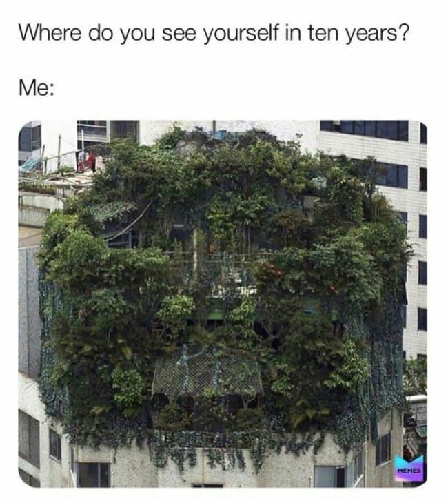 Plant Lover Memes For All You Green Thumbs Out There