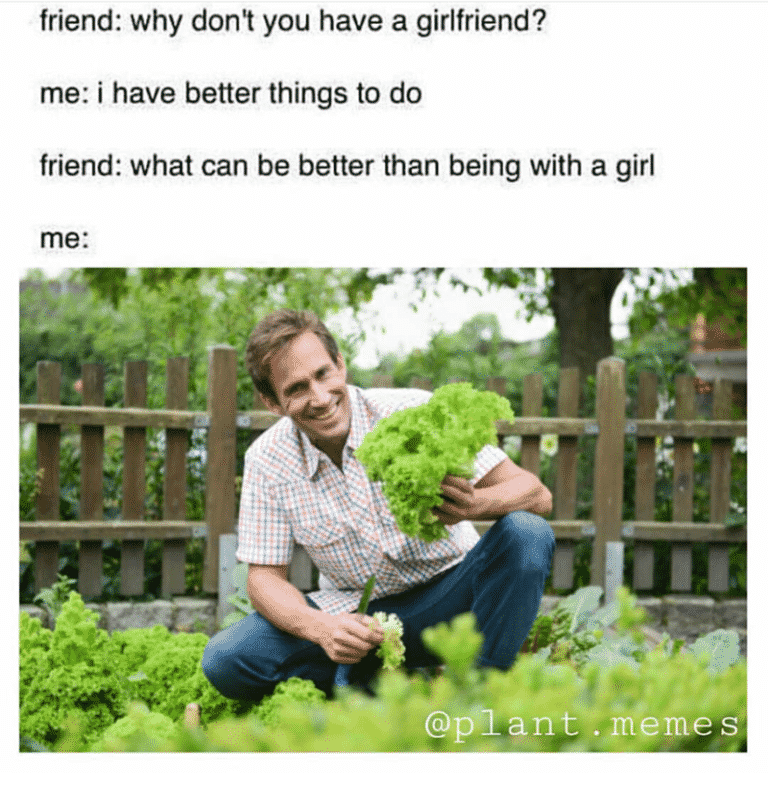 Plant Lover Memes For All You Green Thumbs Out There