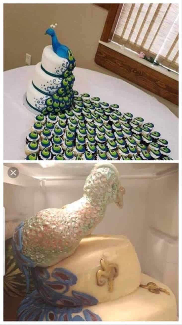peacock cake, expectation vs reality picture