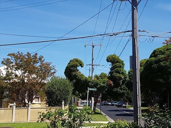 tree growing in strange way, trees growing in strange ways, trees growing in strange places, tree growing in strange place, resilient trees, trees growing in weird places, trees growing in weird ways, cool trees, cool tree pictures, pictures of cool trees