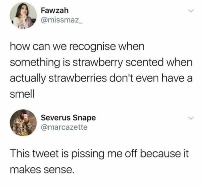 strawberry scented meme, strawberry scents meme