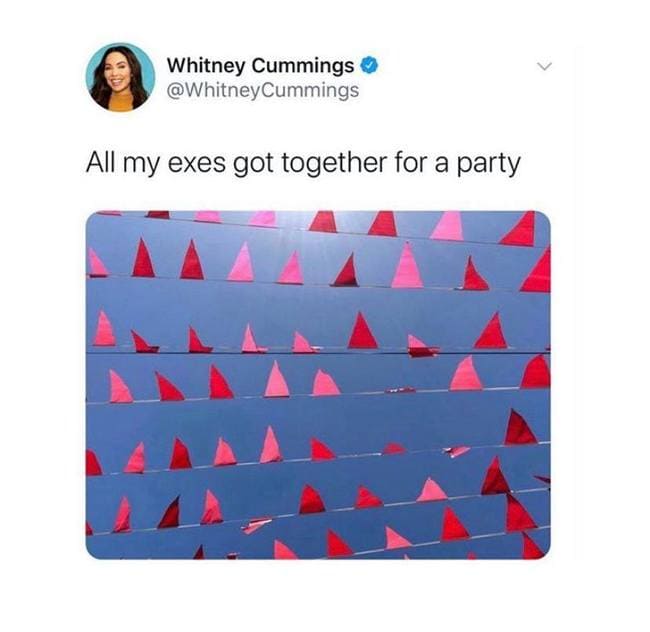 all my exes got together for a party, exes red flags meme