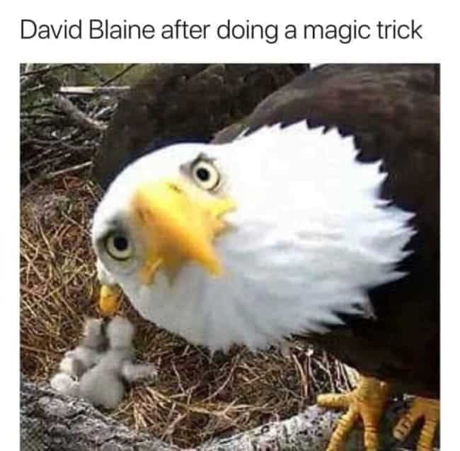 david blaine meme, david blaine doing a magic trick meme