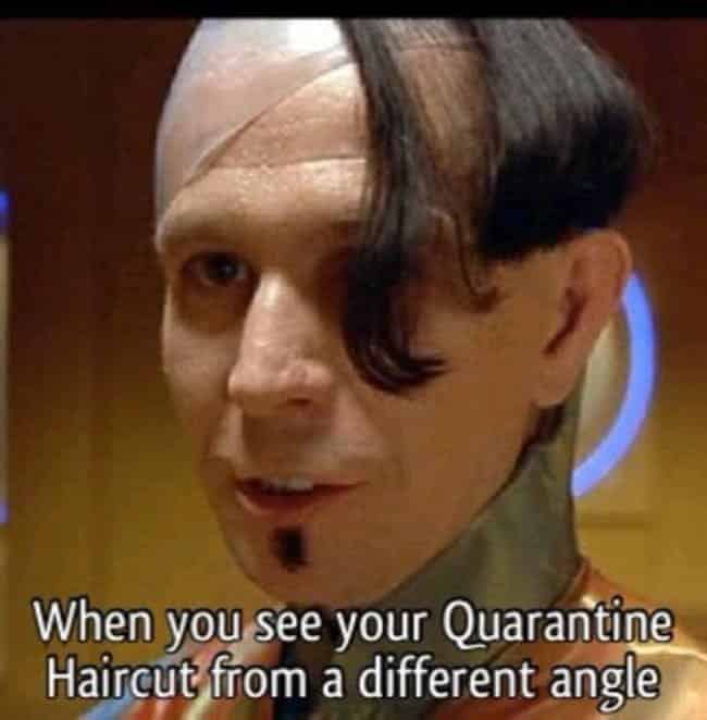 quarantine haircut meme