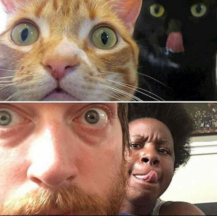 people imitating cats, funny picture of people imitating cats, funny picture of cats and people, funny picture of people and cats