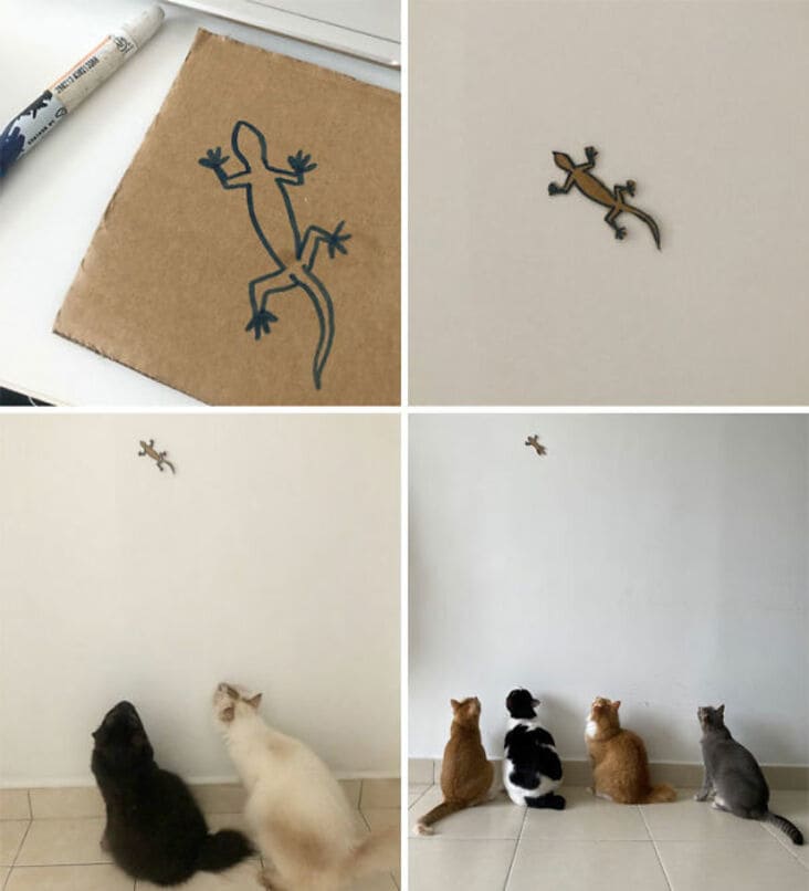 cats with cardboard lizard, cats staring at cardboard lizard, cats staring at lizard cutout, cats staring at lizard cut out, funny picture of cats staring at fake lizard, cats staring at fake lizard, funny picture of cats staring at cardboard lizard, funny cat picture, funny cat pictures, funny cat image, funny cat images, funny cat pic, funny cat pics, funny picture of cat, funny image of cat, funny pictures of cats, funny images of cats, funny cat picturs, funny cat pictur, funny cute cat picture, funny cute cat pictures, funny cat pictures lol, really funny cat pictures, picture of a funny cat, funny cat pictures images, a funny picture of a cat, funny and cute pictures of cats, funny and cute picture of a cat, cat being funny, cat being funny and cute, cute and funny cat, cute cat picture, cute cat pictures, cute picture of cat, cute pictures of cats