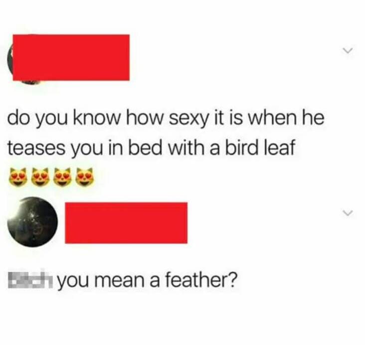 bird leaf tweet, bird leaf feather tweet