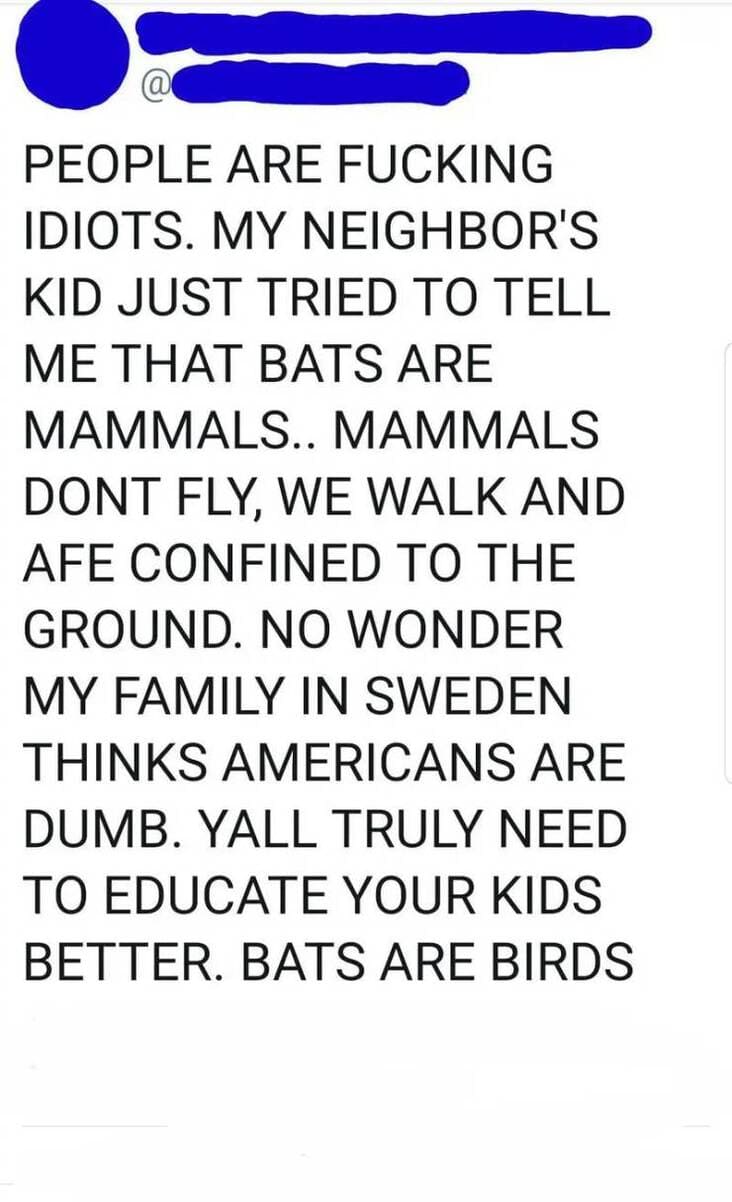 person claims bats are birds, person claims bats aren't mammals, person claims bats are birds tweet, dumb tweet, dumb tweets, funny dumb tweets, dumb people tweets, really dumb tweets, dumb tweets memes, dumb funny tweets, dumb tweet meme, dumb tweet memes, dumb tweets compilation, dumb tweets funny, funny and dumb tweets, stupid tweets, stupid funny tweets, stupid people tweets, funny and stupid tweets, funny but stupid tweets, funny tweets stupid, really stupid tweets, funny stupid tweet
