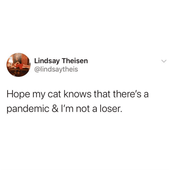 lindsay theisen twitter, lindsay theisen funny, @lindsaytheis, @lindsaytheis twitter, @lindsaytheis funny, @lindsaytheis tweet, @lindsaytheis funny tweets, funny women twitter, funny woman tweets, funny woman twitter, funny tweet, hilarious woman twitter, hilarious tweet