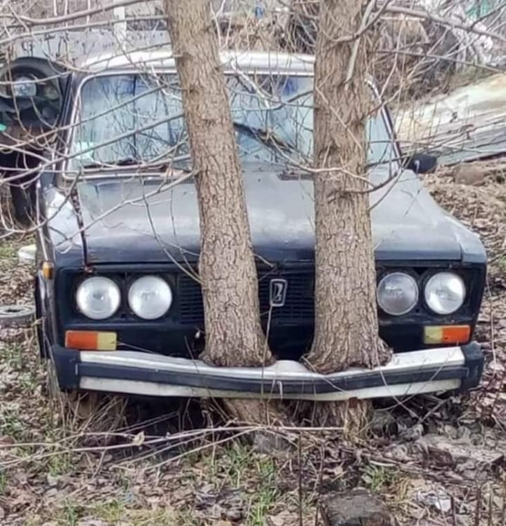 Well, You Don’t See That Every Day (34 Interesting Pictures)