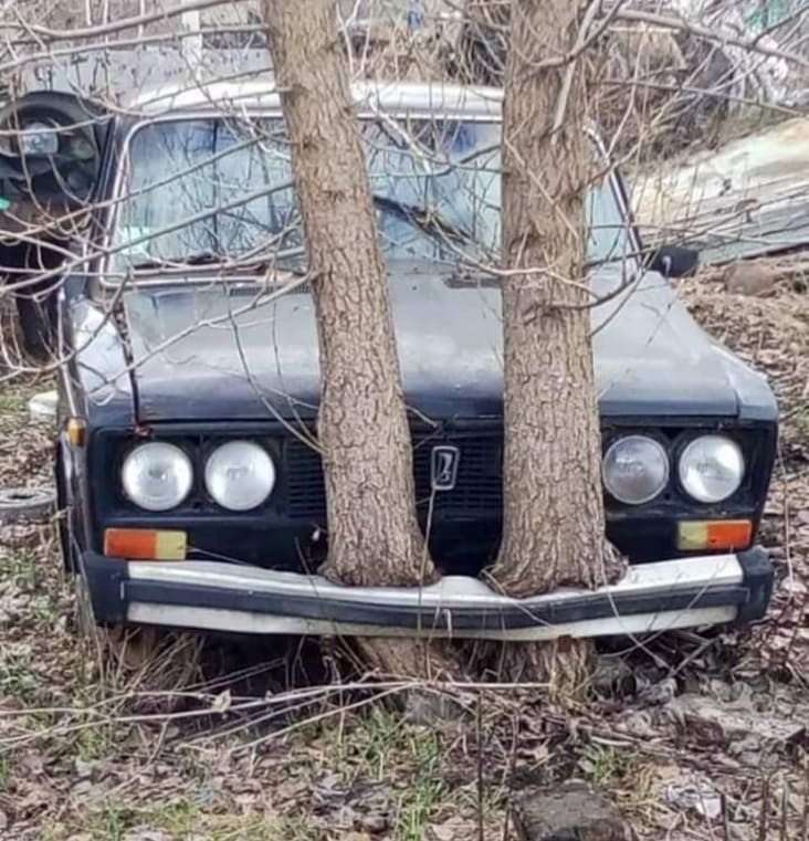 trees growing in through car, trees growing through car bumper, trees growing in car bumper, trees growing in car, interesting trees growing, interesting tree growth, interesting picture of trees growing through car, interesting trees growing through car picture, interesting picture, interesting pictures, mildly interesting, mildly interesting picture, mildlyinteresting, mildlyinteresting picture reddit mildly interesting, reddit mildlyinteresting, reddit mildly interesting picture, reddit mildlyinteresting picture, r/ mildlyinteresting, r/mildlyinteresting, r/ mildly interesting, r/mildly interesting, r/ mildly interesting picture, r/ mildlyinteresting picture, very interesting picture, very interesting pictures an interesting picture, cool picture, cool pictures, cool interesting picture, cool interesting pictures, very cool picture, interesting image, interesting images, cool image, cool images, mildly interesting image, mildlyinteresting image, mildly interesting images