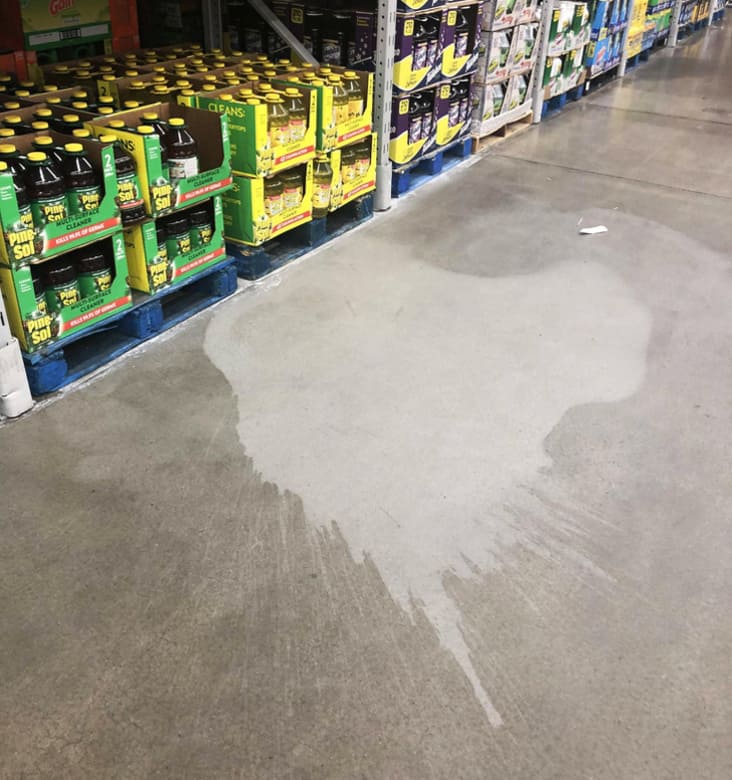 cleaner spilled on floor, cleaner spilled on floor picture, interesting picture of cleaner spilled on floor, interesting cleaner spilled on floor picture, interesting picture, interesting pictures, mildly interesting, mildly interesting picture, mildlyinteresting, mildlyinteresting picture reddit mildly interesting, reddit mildlyinteresting, reddit mildly interesting picture, reddit mildlyinteresting picture, r/ mildlyinteresting, r/mildlyinteresting, r/ mildly interesting, r/mildly interesting, r/ mildly interesting picture, r/ mildlyinteresting picture, very interesting picture, very interesting pictures an interesting picture, cool picture, cool pictures, cool interesting picture, cool interesting pictures, very cool picture, interesting image, interesting images, cool image, cool images, mildly interesting image, mildlyinteresting image, mildly interesting images