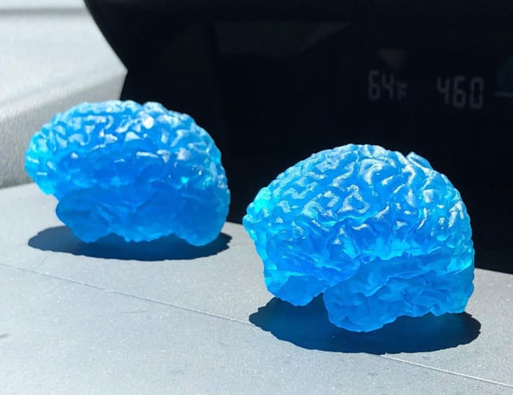 3d printed brains, 3d printed brains from mri, brains 3d printed from mri, interesting 3d printing brain, interesting 3d printed brains, interesting 3d printed brains picture