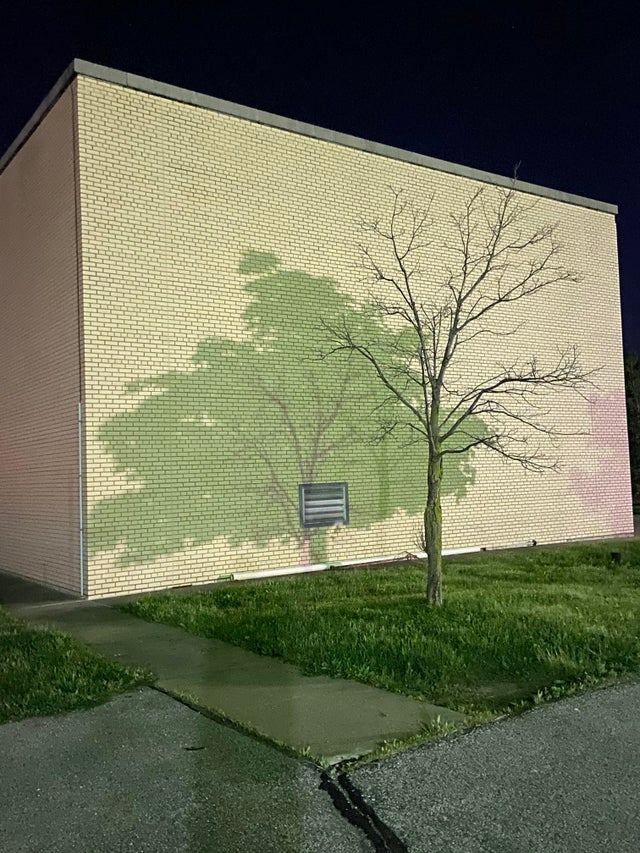 interesting shadow alignment, interesting shadow picture, interesting tree shadow picture, interesting tree shadows, interesting tree shadows picture, cool tree shadows, cool tree shadows picture, interesting picture, interesting pictures, mildly interesting, mildly interesting picture, mildlyinteresting, mildlyinteresting picture reddit mildly interesting, reddit mildlyinteresting, reddit mildly interesting picture, reddit mildlyinteresting picture, r/ mildlyinteresting, r/mildlyinteresting, r/ mildly interesting, r/mildly interesting, r/ mildly interesting picture, r/ mildlyinteresting picture, very interesting picture, very interesting pictures an interesting picture, cool picture, cool pictures, cool interesting picture, cool interesting pictures, very cool picture, interesting image, interesting images, cool image, cool images, mildly interesting image, mildlyinteresting image, mildly interesting images